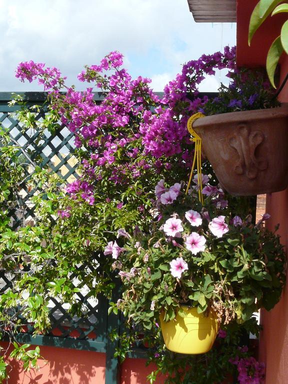 Li Rioni Bed & Breakfast Rome Exterior photo